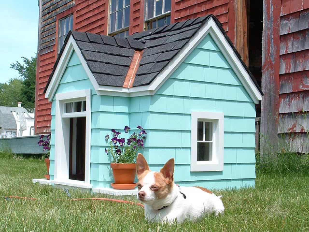 10-designer-doghouses-built-for-comfort-diy-shed-pergola-fence