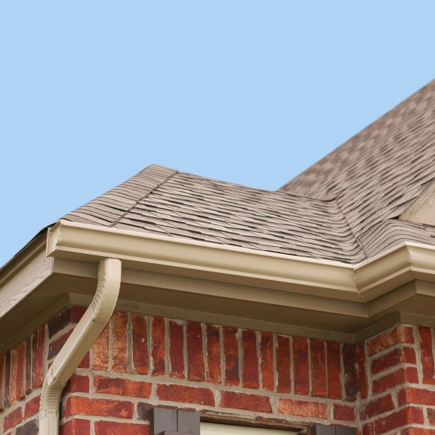 Inspect Roof & Gutters Detail of Roof and Gutters