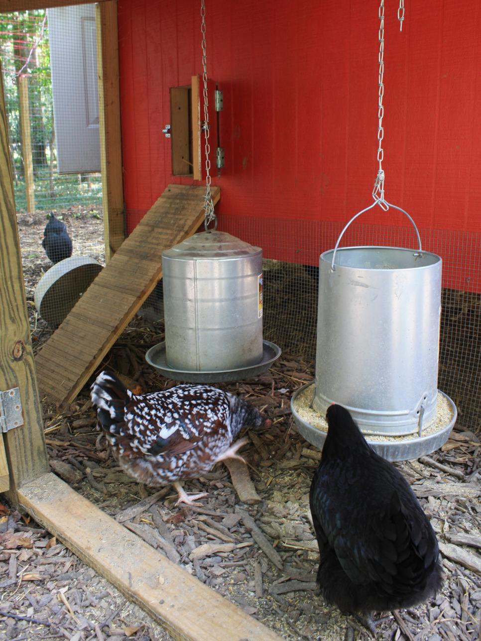 Chicken Coop Designs for Backyard Chickens | HGTV