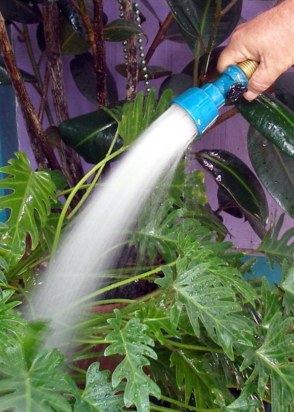 Periodically flushing fertilizer build-up from your containers is essential. flushing fertilizers