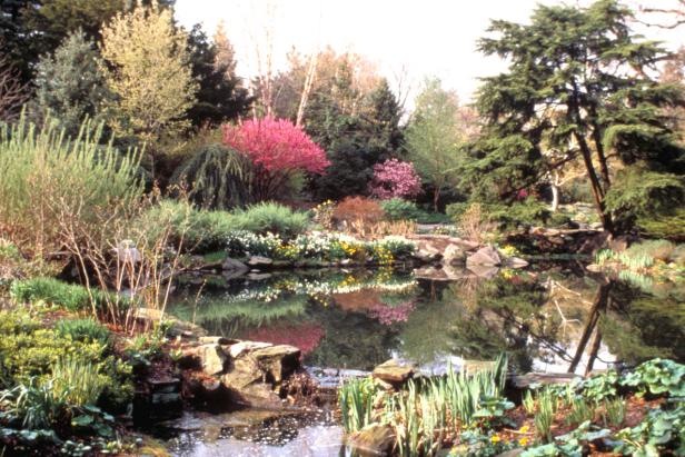 New York Botanical Garden's Rock Garden New York Botanical Garden's Rock Garden