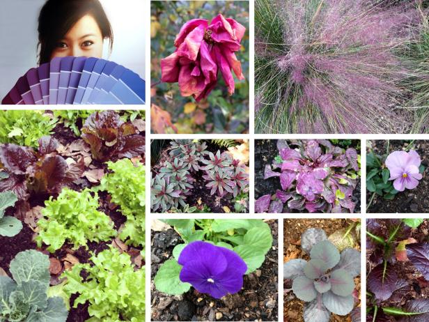 shades of purple shades of purple