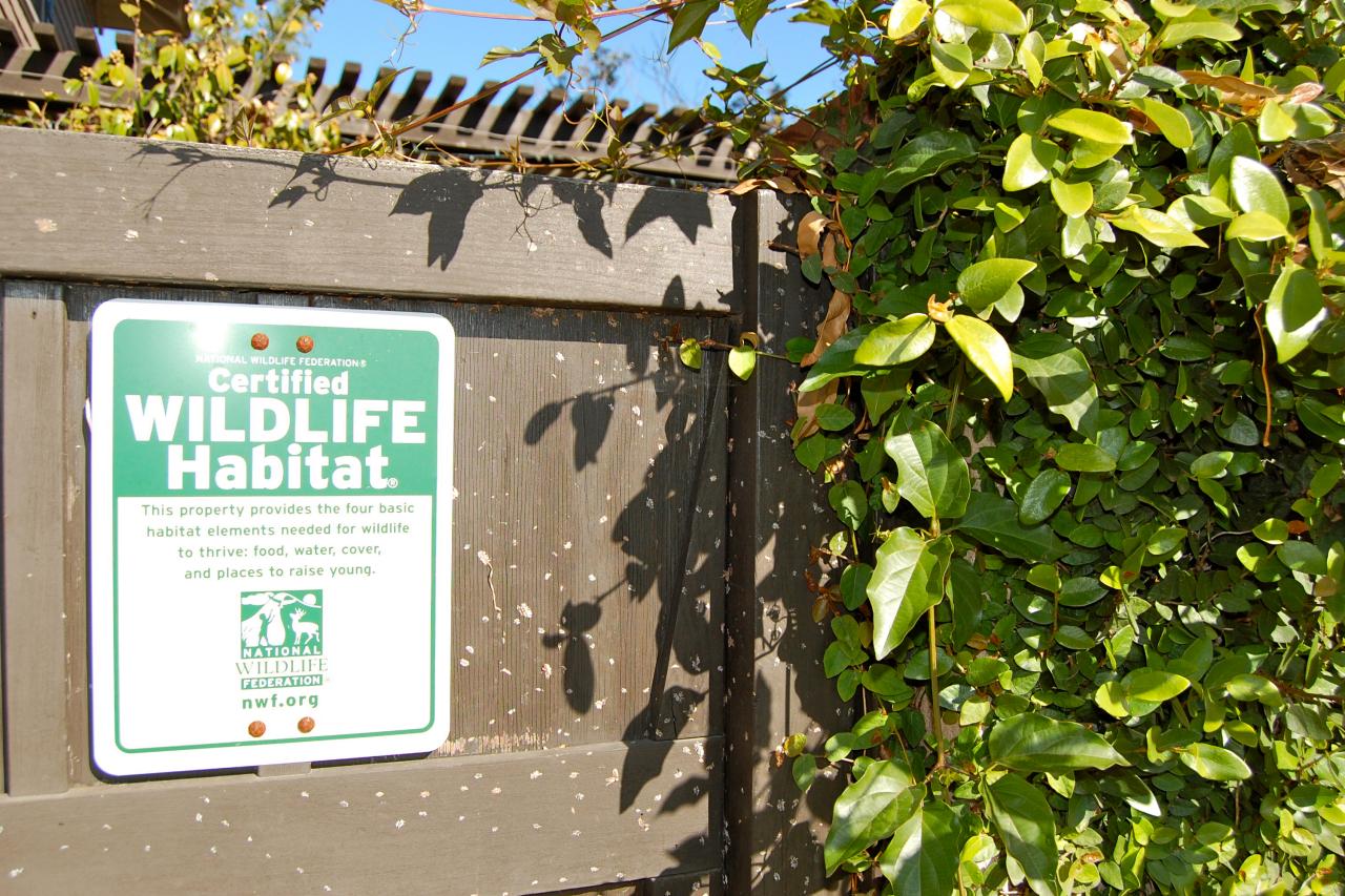 How to Get Your Garden Wildlife Habitat Certified | HGTV