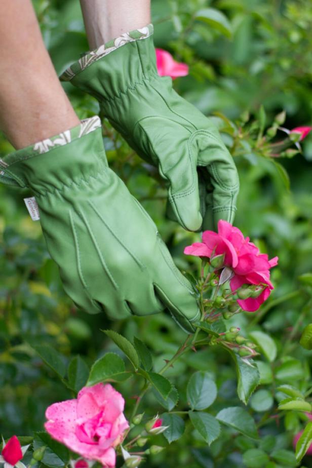 Angela's Garden Gloves Angela's Garden Gloves