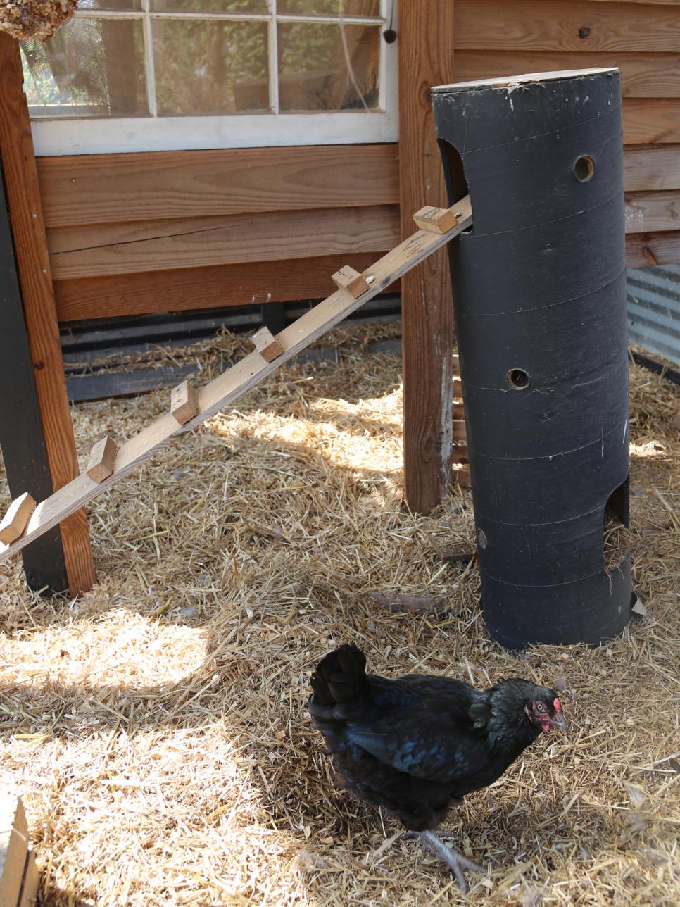 Chicken Coop Ideas HGTV