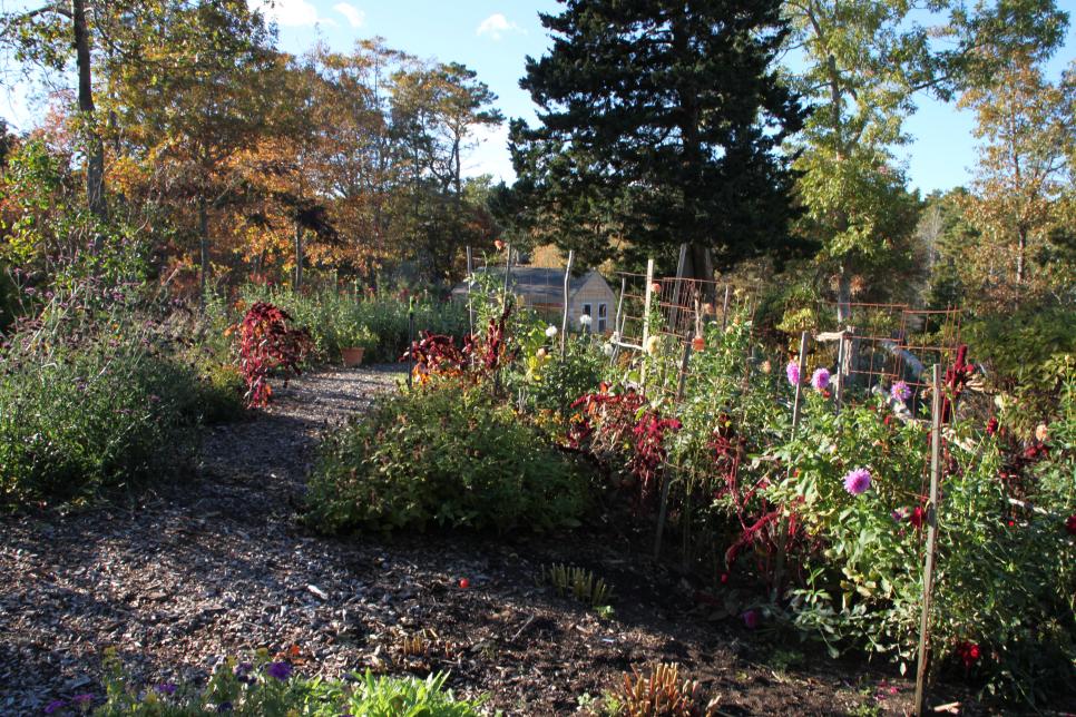 A Fall Cottage Garden on Cape Cod HGTV