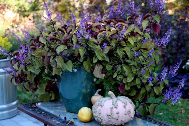 A Focal Centerpiece A Focal Centerpiece
