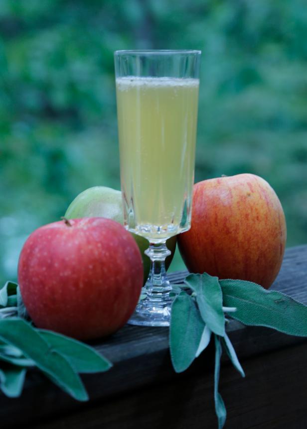 The Good Apple The Good Apple