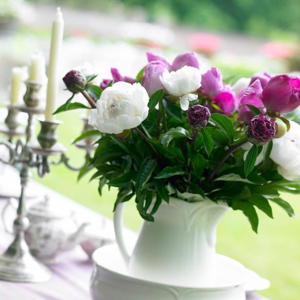 Peonies Peonies