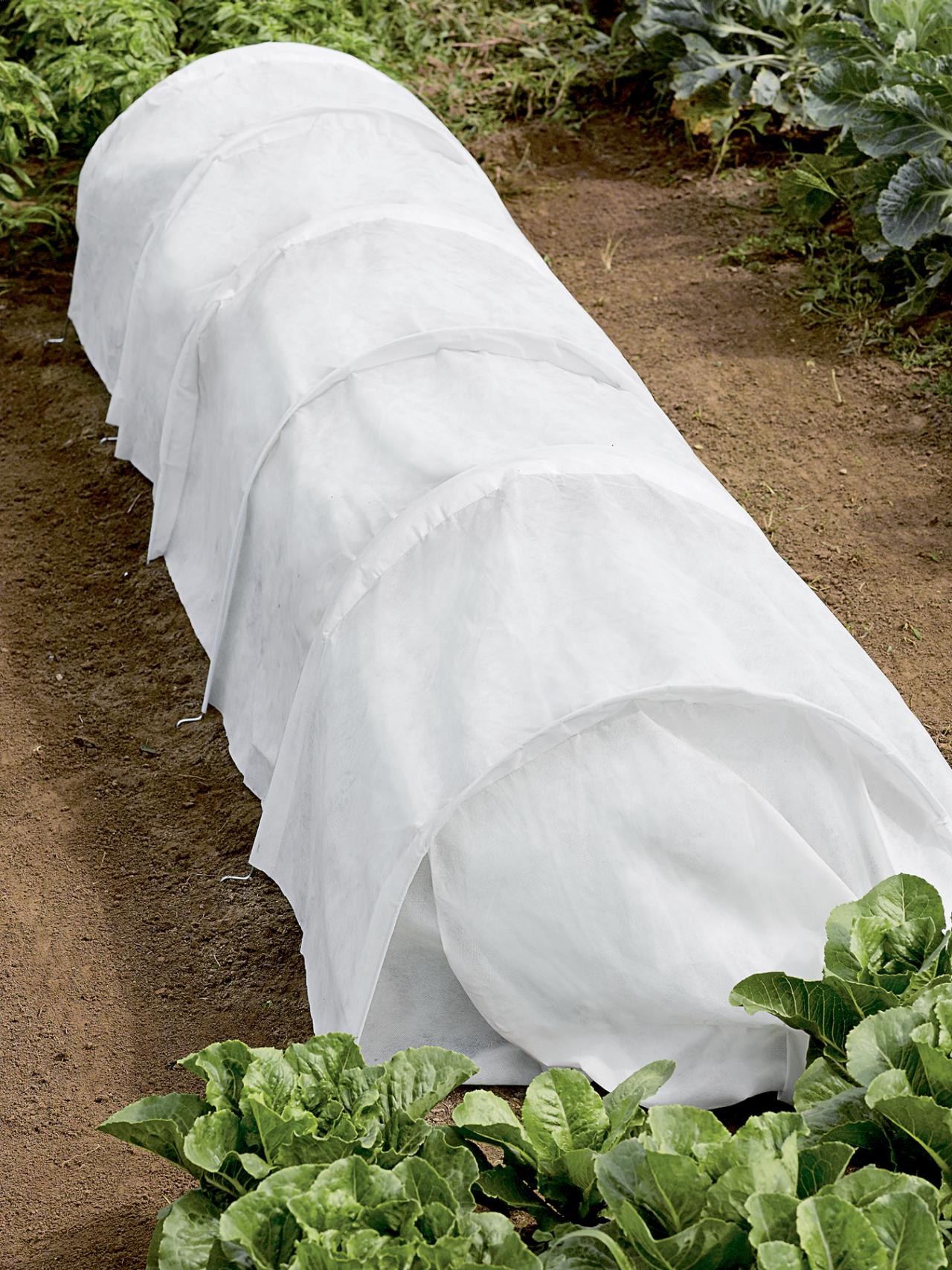 Protect Plants With Row Covers | HGTV