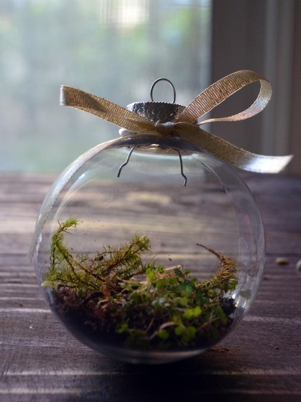 DIY Holiday Craft Homemade Terrarium Ornaments HGTV