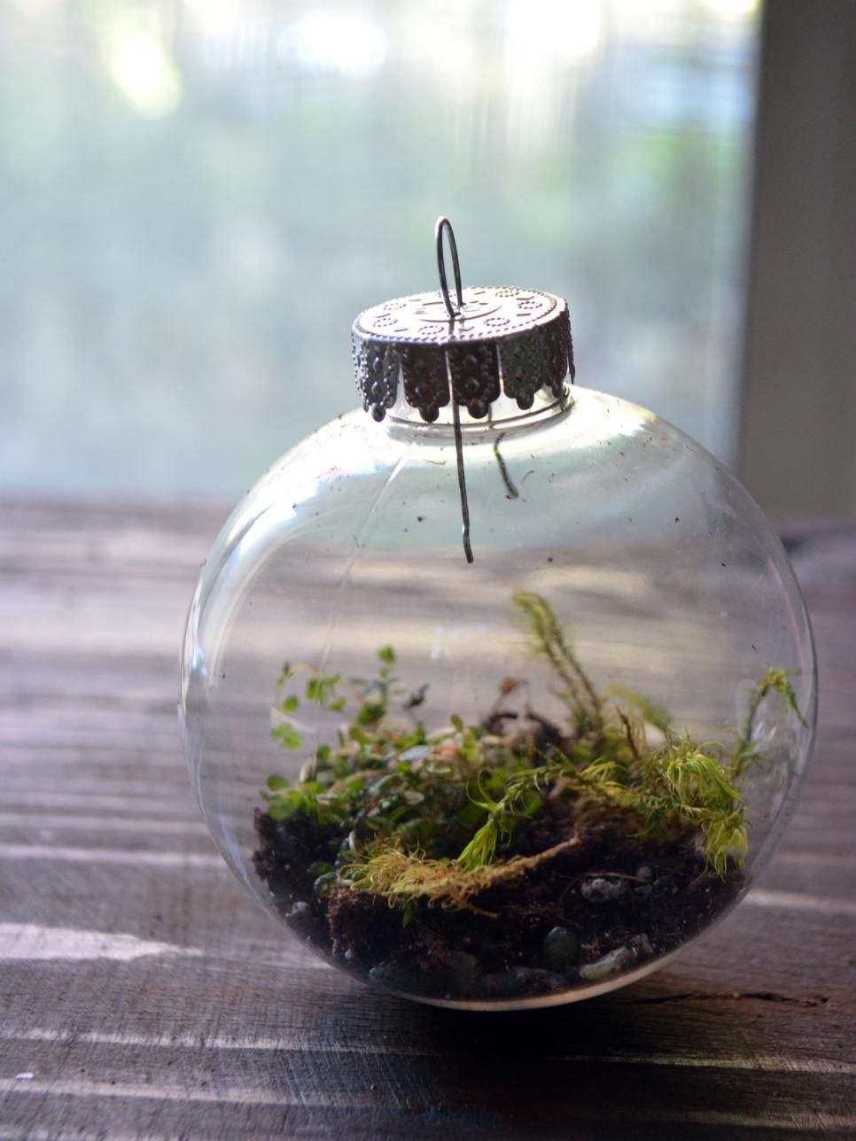 DIY Holiday Craft Homemade Terrarium Ornaments HGTV