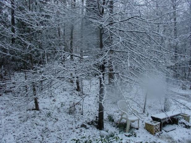 Snowy Garden Snowy Garden