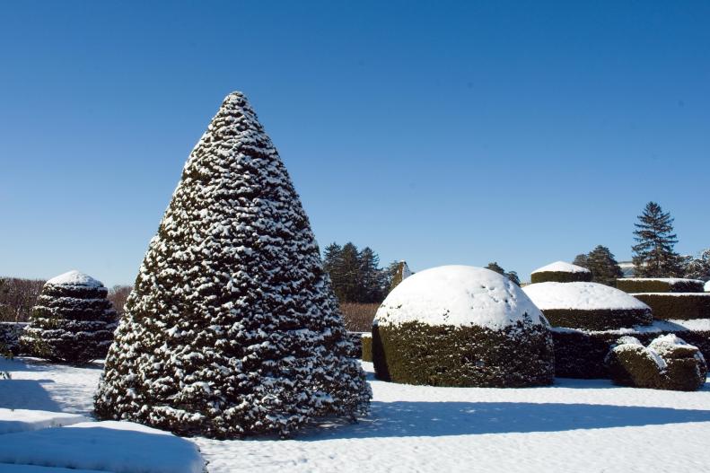 The unique shapes of Longwood Gardens' Topiary Garden are amplified with a dusting of snow.&nbsp;