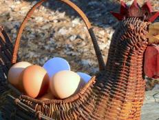 Egg production from backyard chickens naturally decreases during winter months.