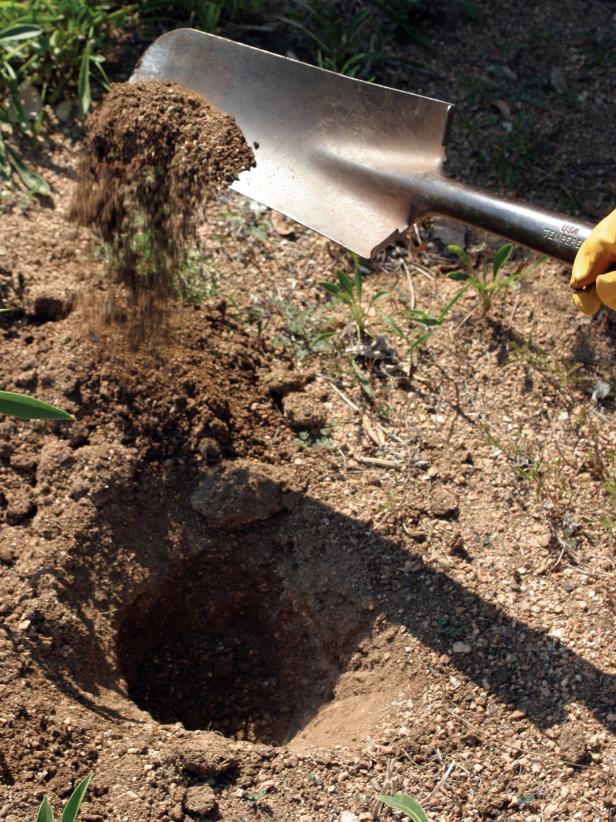 Digging a Hole Digging a Hole