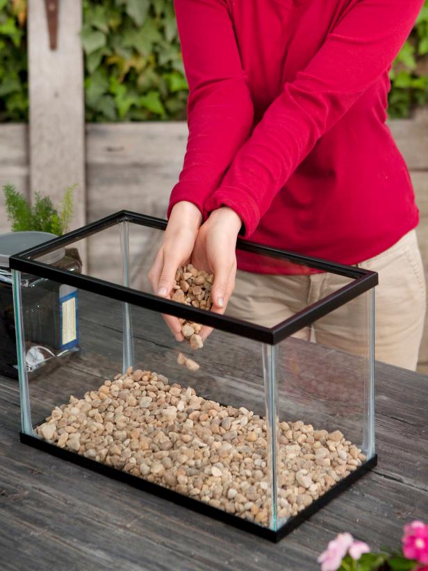 Adding pebbles as a base to your terrarium allows for drainage.