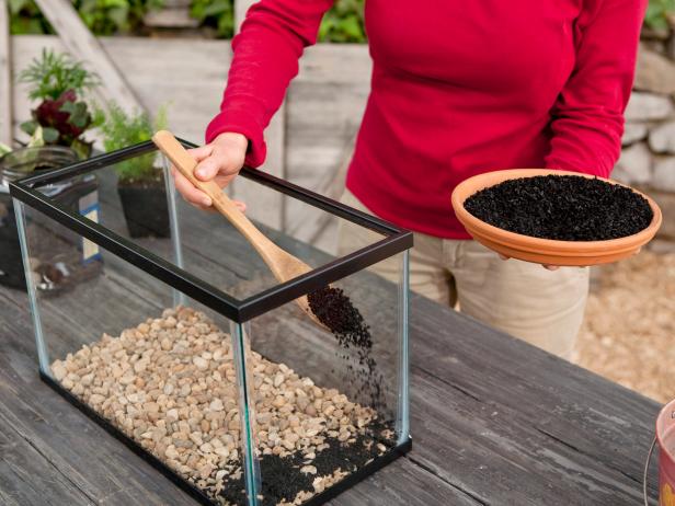Add charcoal to the bed of your fish tank terrarium.