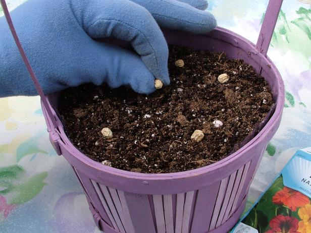 You can sow seeds of fast-growing annuals, such as nasturtiums and dwarf zinnias, directly into the basket.