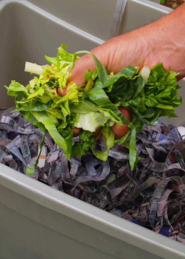 Add Kitchen Scraps to a Worm Bin for Rich Compost Add Kitchen Scraps to a Worm Bin for Rich Compost