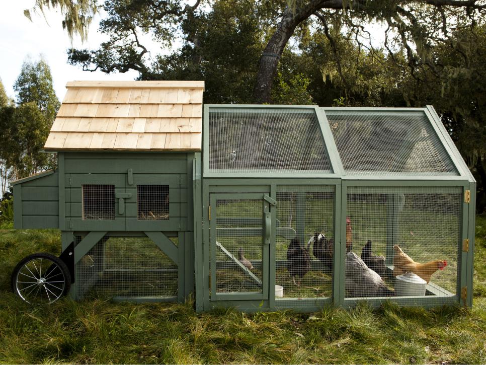 Chicken Coop Designs for Backyard Chickens | HGTV