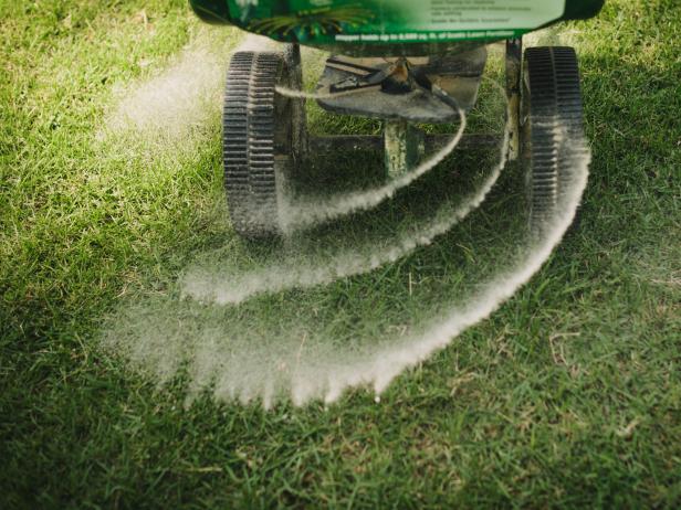 Fertilizing the Lawn Fertilizing the Lawn