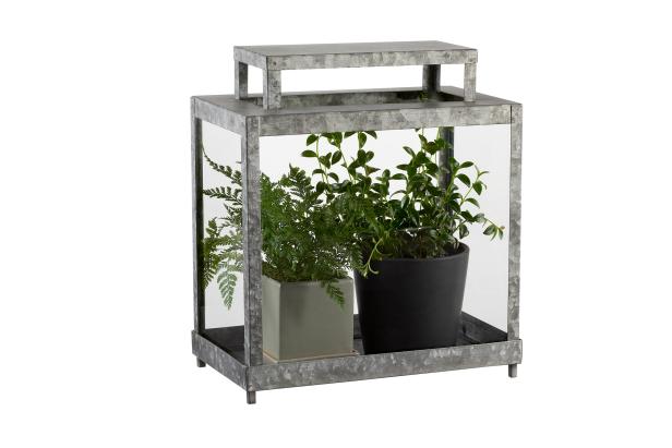 Galvanized Terrarium Galvanized Terrarium