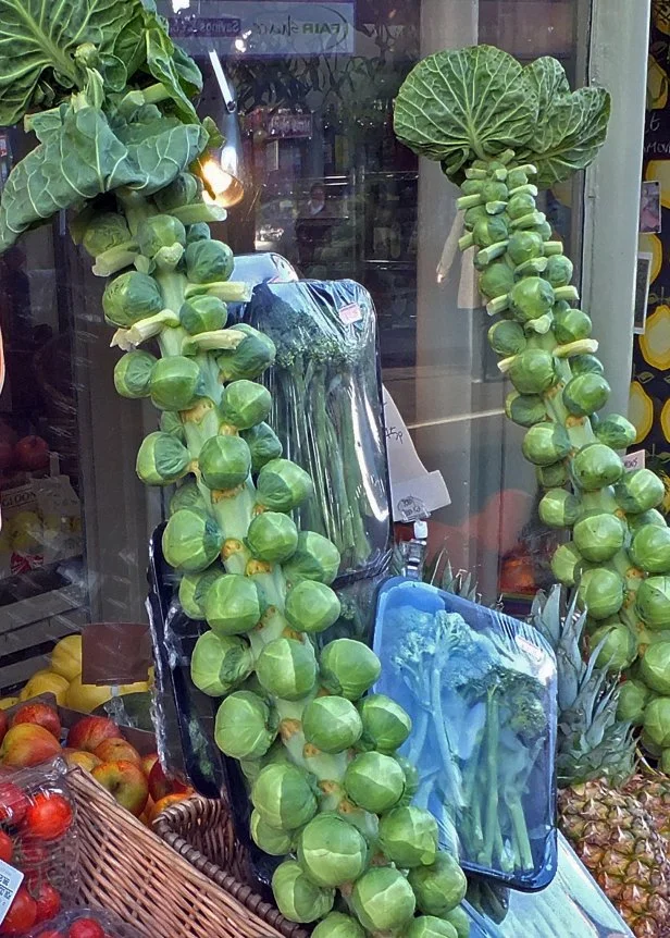 Brussels sprouts