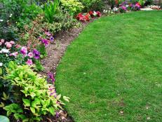 Landscape Edging Ideas and Options | HGTV