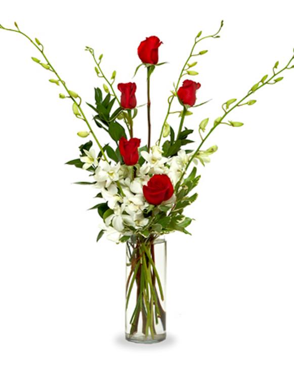 Bouquet of Red Rose Bouquet of Red Rose
