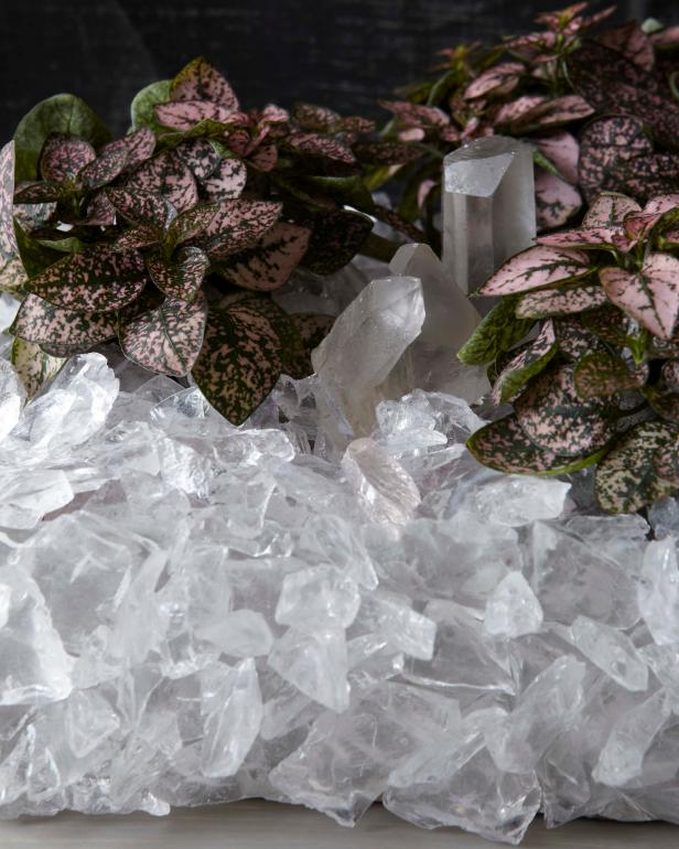 shane powers, crystal planter 1 shane powers, crystal planter 1