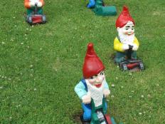 lawn-mowing gnomes