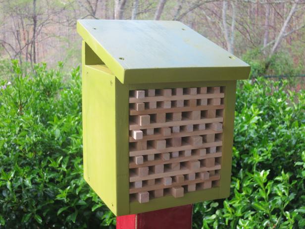 A Finished Pollinator Habitat A Finished Pollinator Habitat