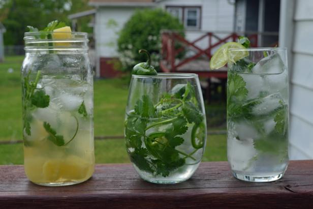 Cilantro Mojito Cilantro Mojito