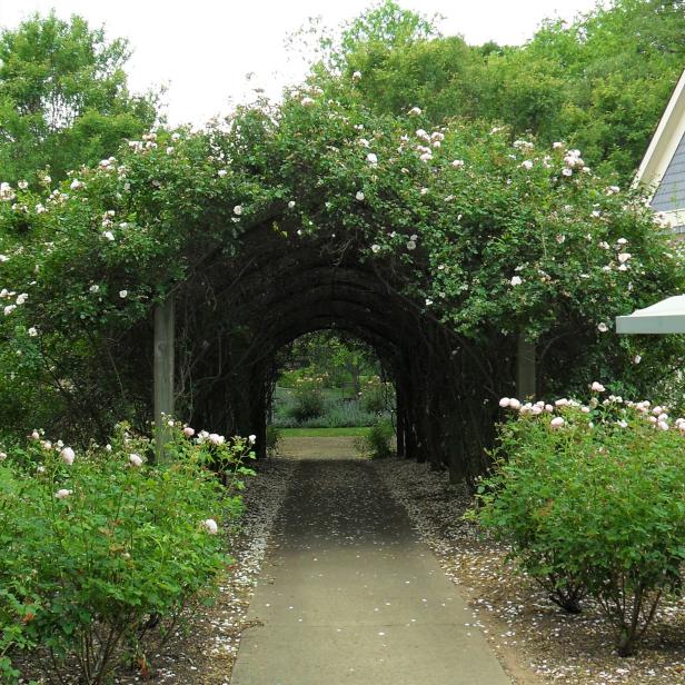 Grow a Secret Garden Grow a Secret Garden