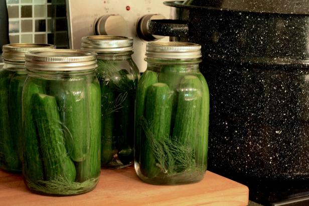 Canning dill pickles. Canning dill pickles.