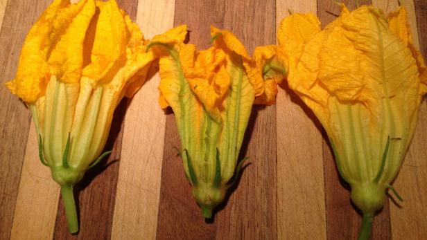 Squash blossoms ready for stuffing Squash blossoms ready for stuffing