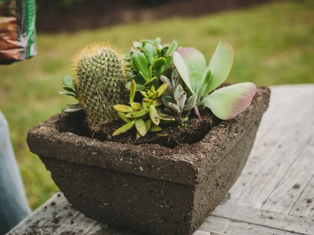 diy hypertufa planter