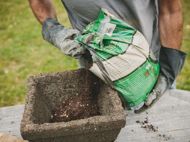 Add a mix of potting soil and compost. Or, if you plan on planting succulents, add a cactus mix to the pot.