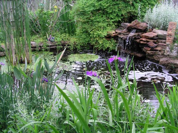 8 Things to Consider Before You Install a Pond: Water Garden Basics | HGTV