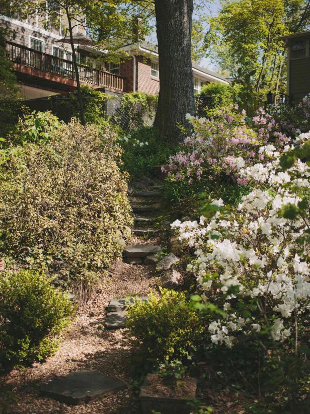 Floral Passage Floral Passage