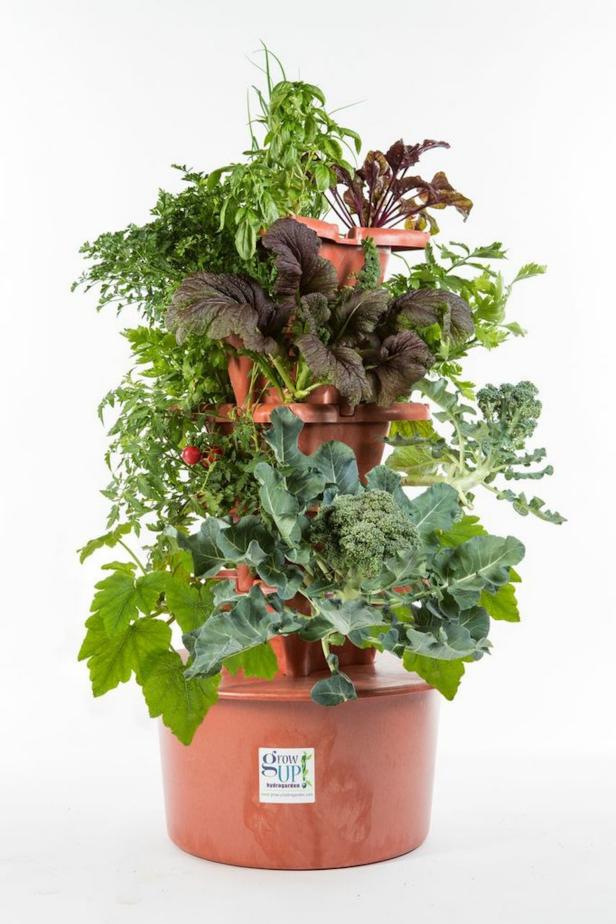 Grow Up Hydropgarden Grow Up Hydropgarden