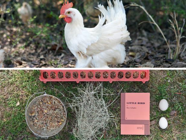 A Chicken and Stuff A Chicken and Stuff