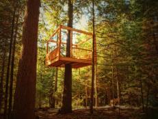 Treehouse Designs