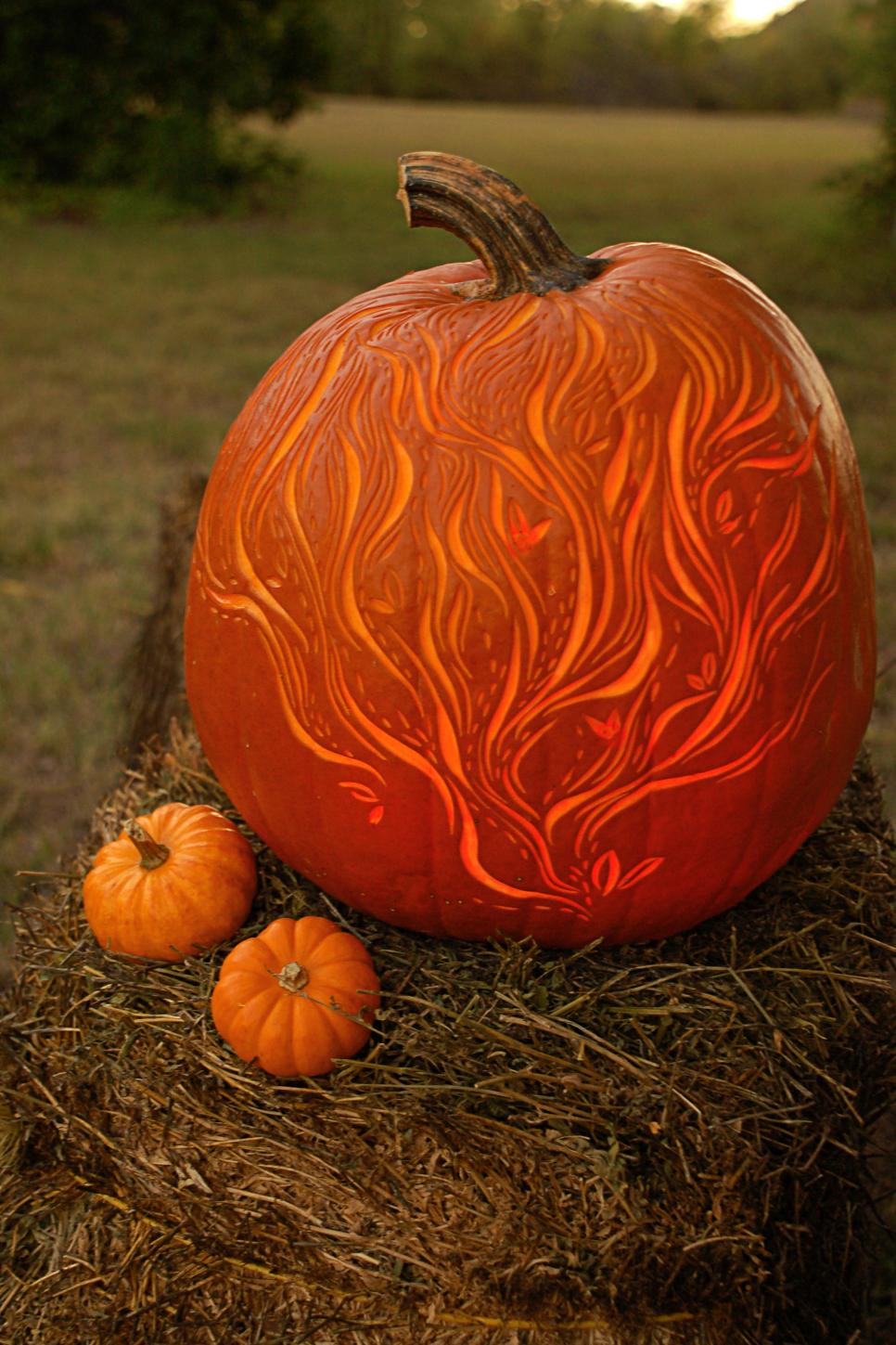 Pumpkin carving patterns hgtv Pumpkin carving patterns hgtv