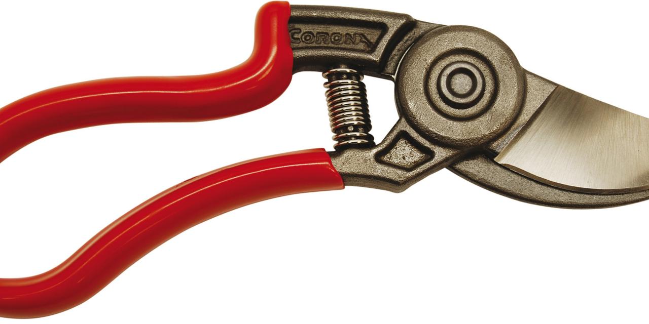 Adaptive Gardening Techniques for Gardeners with Disabilities HGTV