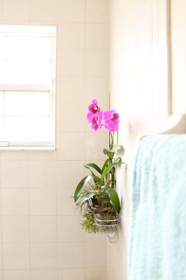Shower caddy gardens look—and smell!—a lot better than decorating with shampoo bottles and soap.