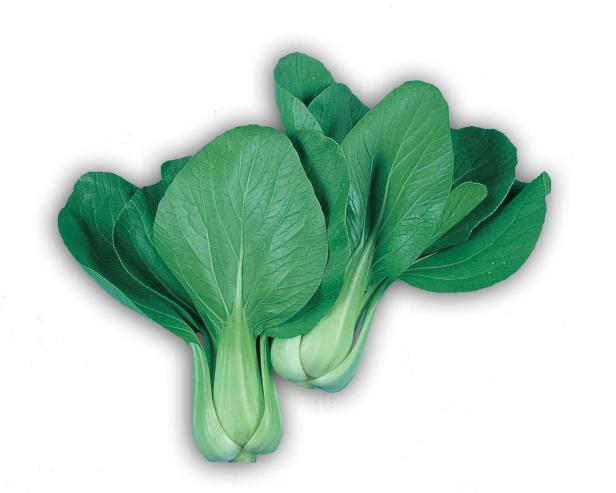 Pak Choi 'Shanghai,' courtesy Kitazawa Seed Company Pak Choi 'Shanghai,' courtesy Kitazawa Seed Company