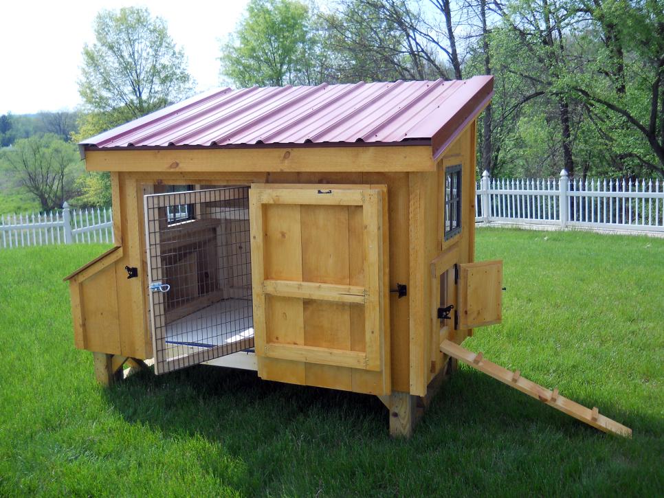 Amazing Chicken Coop Design Ideas HGTV