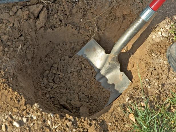 Dig the Hole How to plant a tree